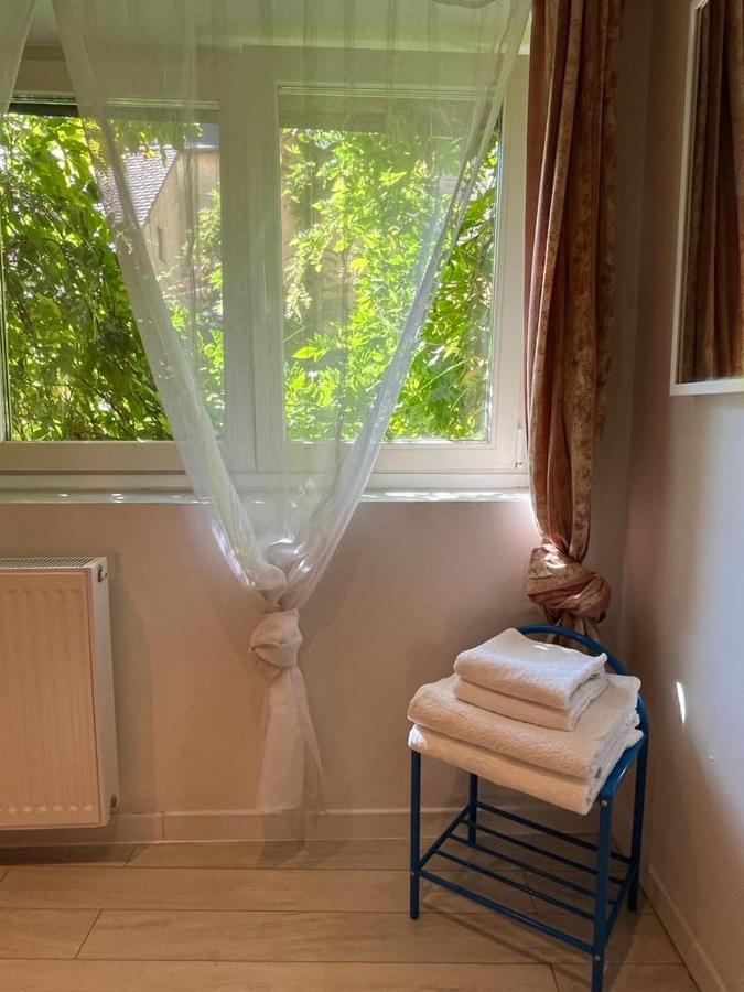 La Mariana - Old Town Cosy Apartments コルマール エクステリア 写真
